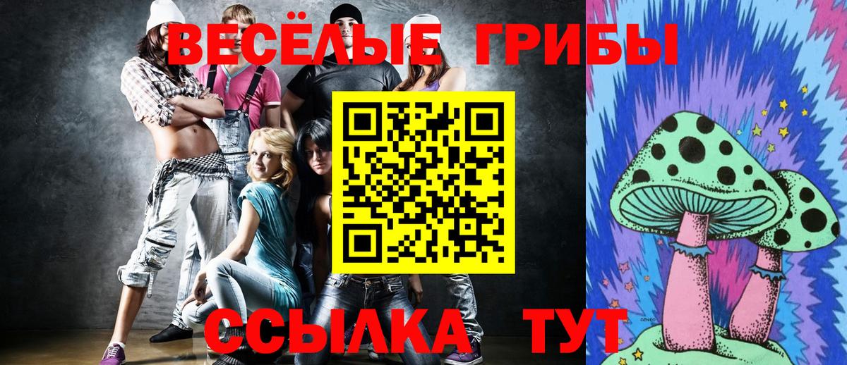 Жигулёвск  Галлюциногенные грибы Psilocybine cubensis  купить   Вход с VPN 